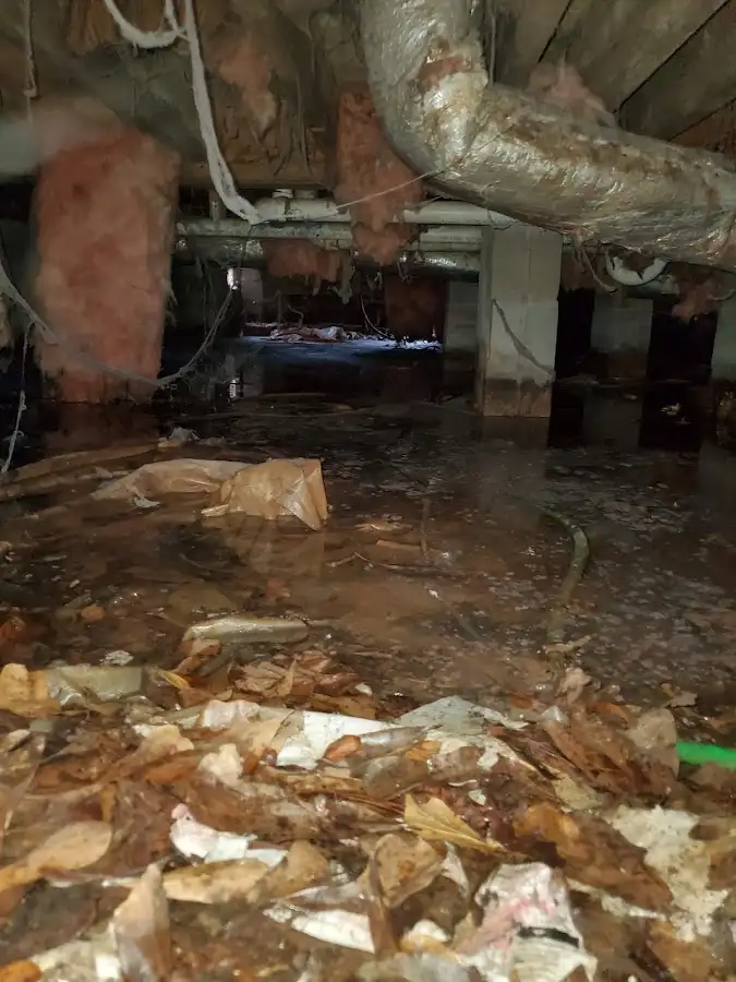 Crawl space flood assessment for Leak Detection & Repair in Monticello