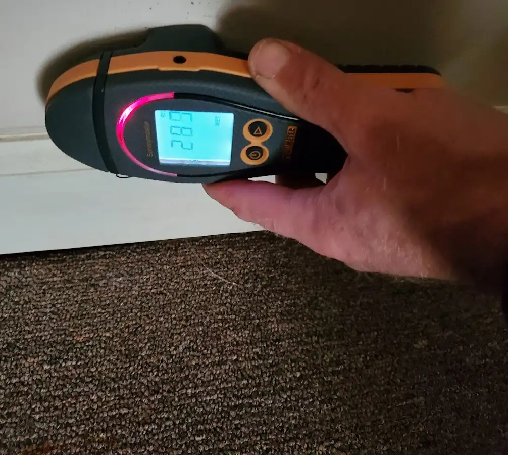 Moisture detection at baseboard during Sewage Cleanup & Sanitation in Monticello